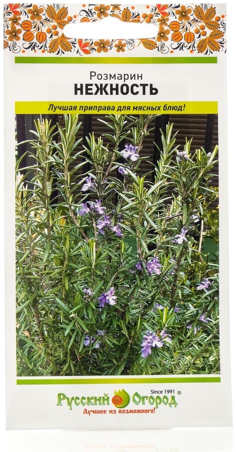 Семена Розмарин 