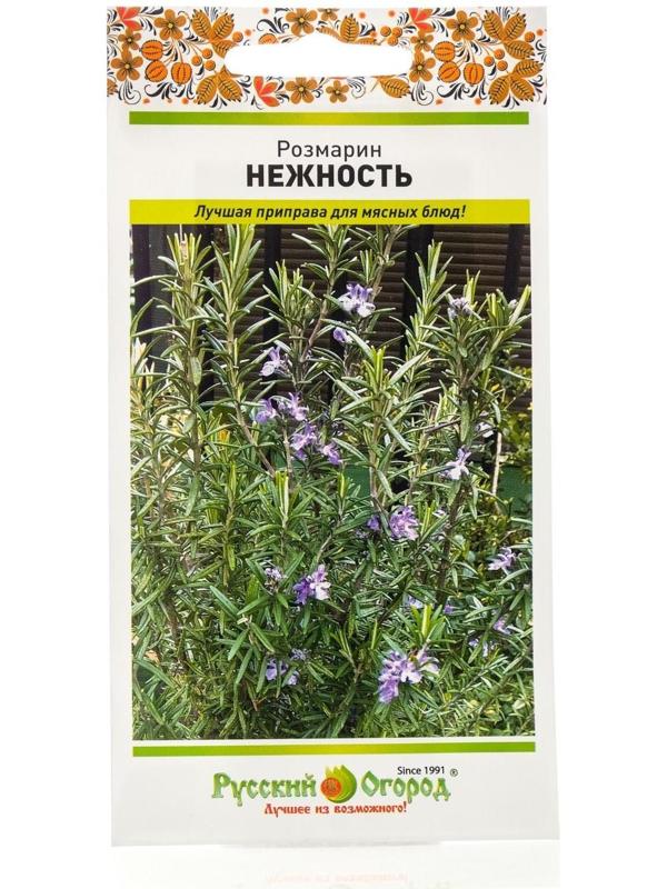 Семена Розмарин 