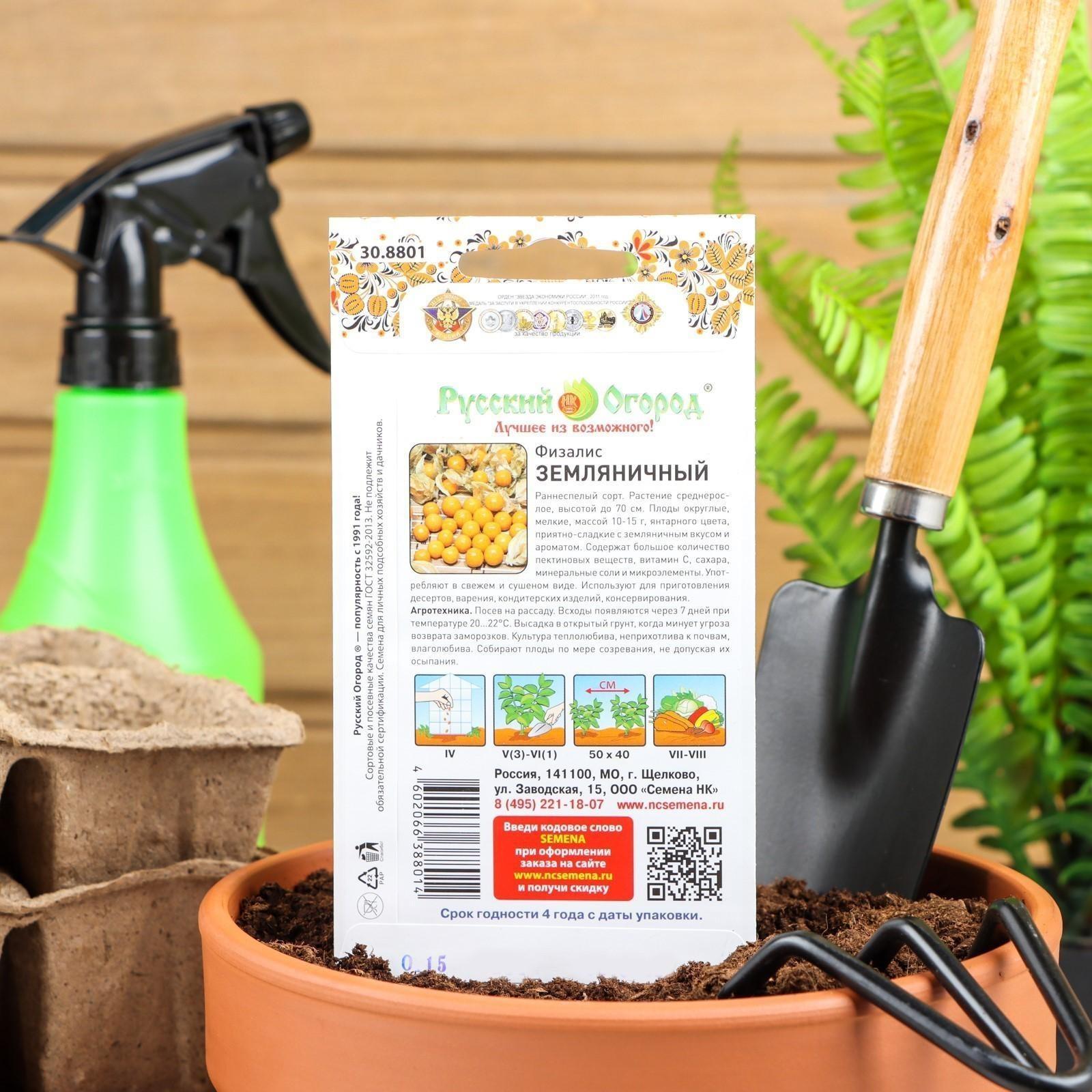 Семена Физалис 