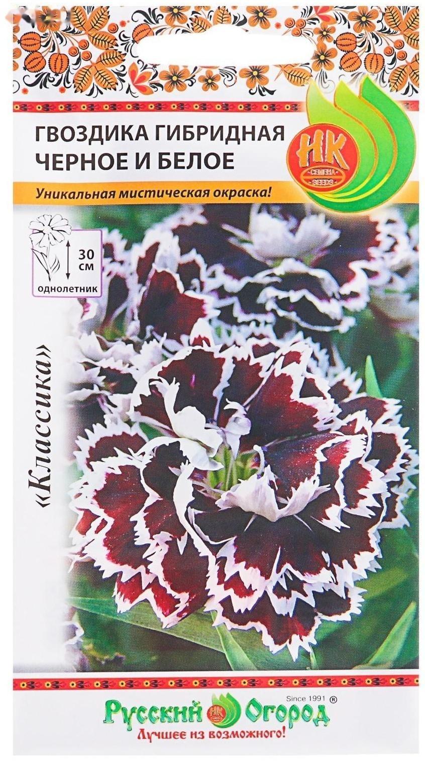 Семена цветов Гвоздика гибридная 