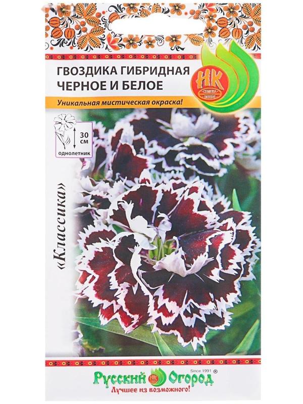 Семена цветов Гвоздика гибридная 