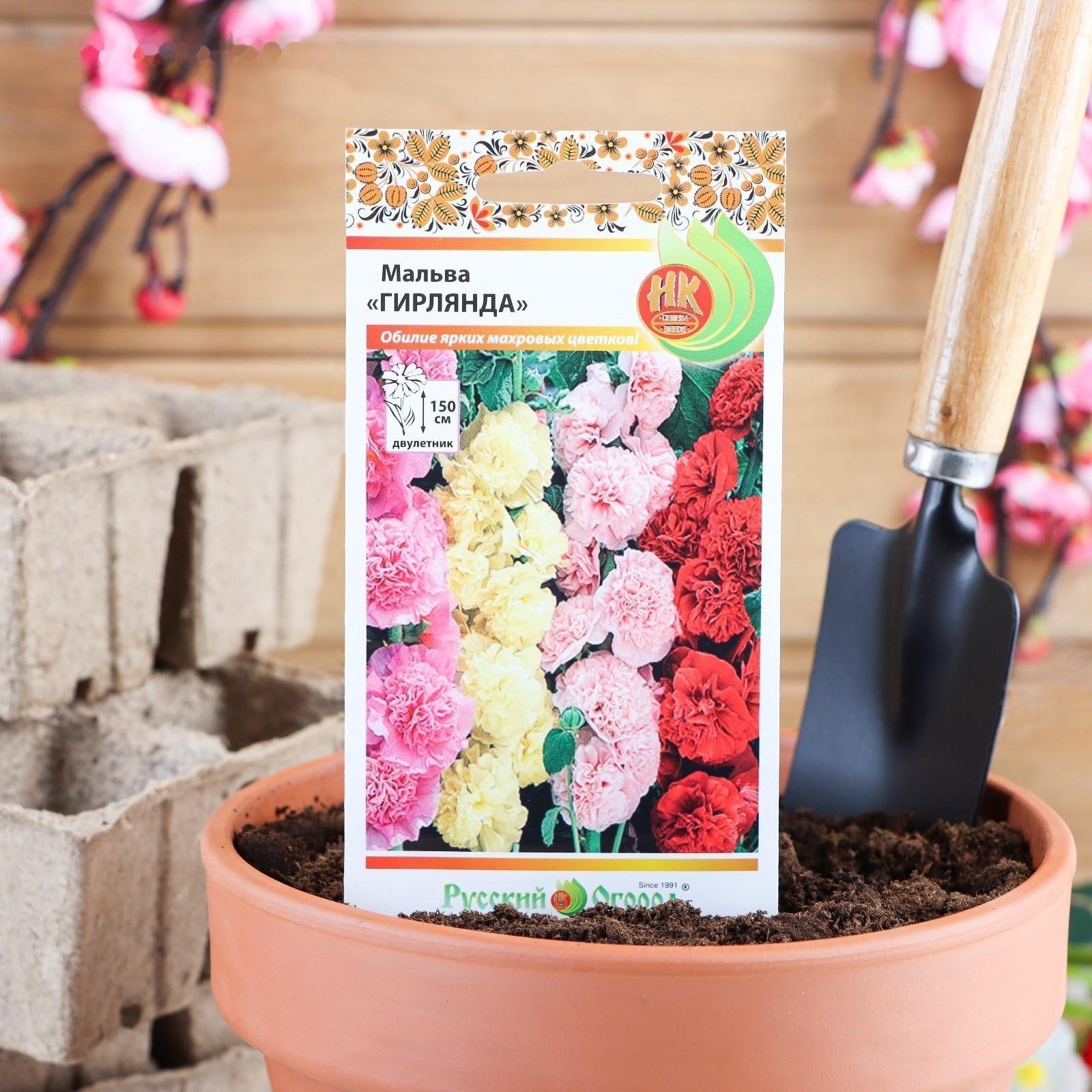 Семена цветов Мальва 