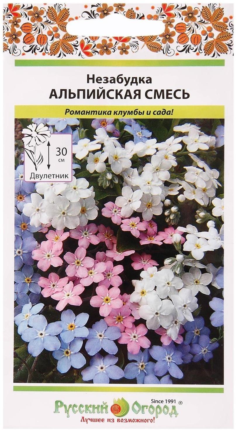 Семена цветов Незабудка 