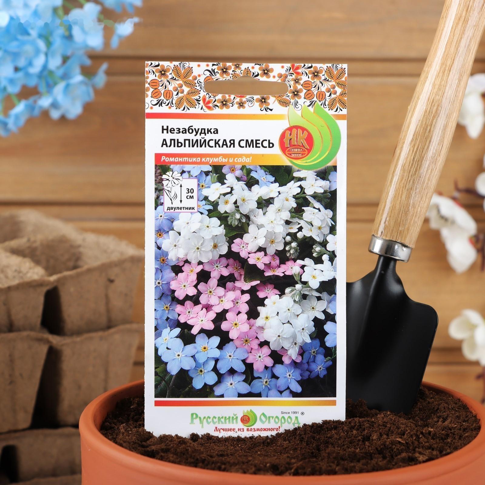 Семена цветов Незабудка 