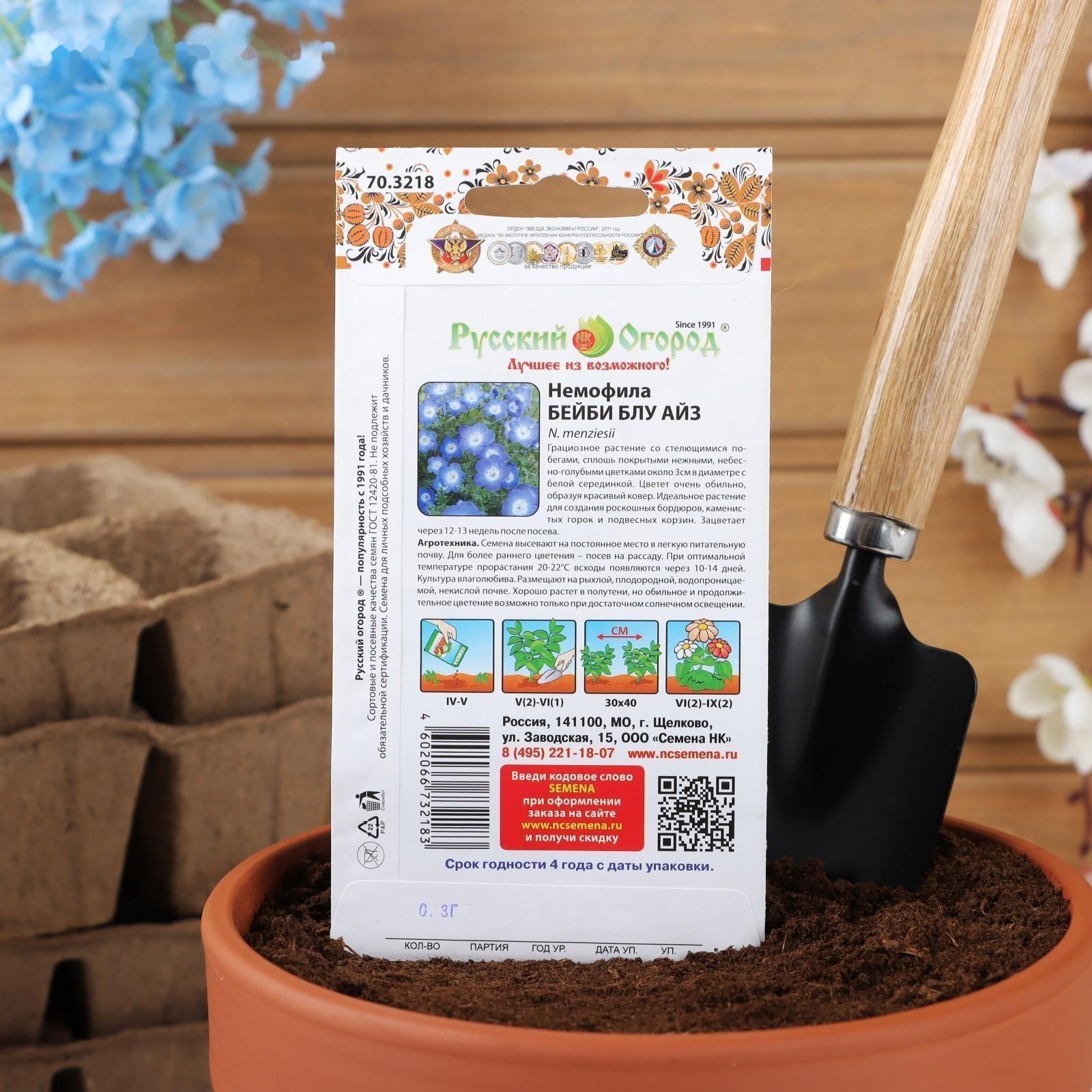 Семена цветов Немофила 