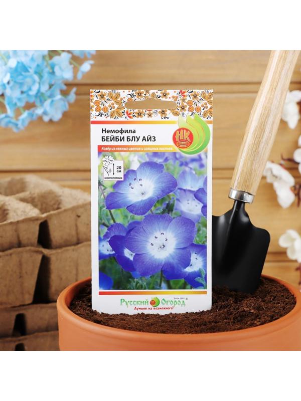 Семена цветов Немофила 