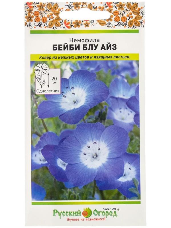 Семена цветов Немофила 