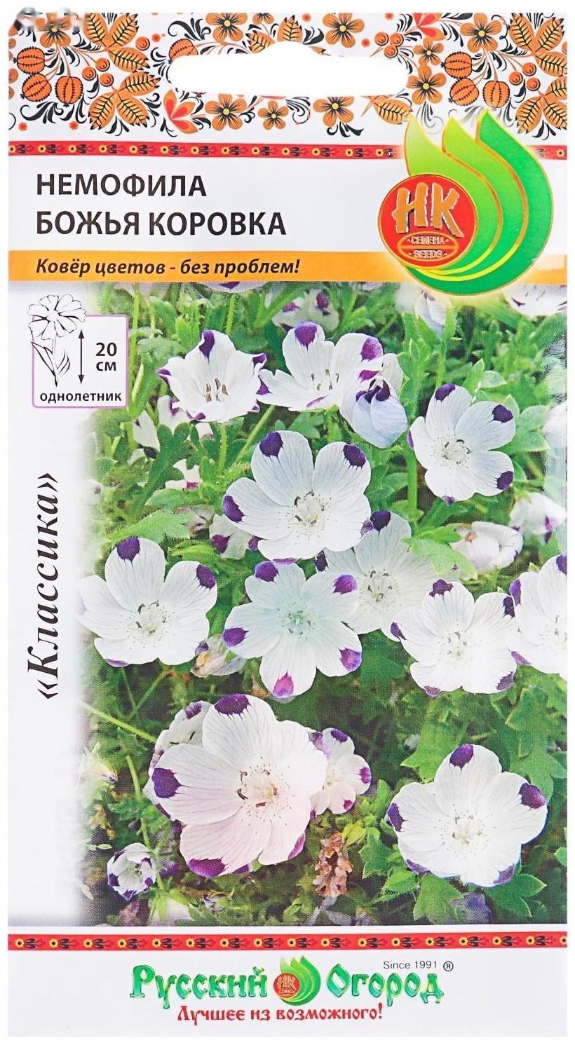 Семена цветов Немофила 