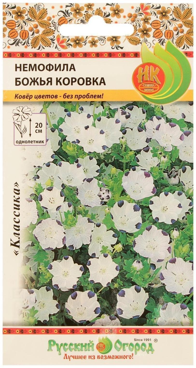 Семена цветов Немофила 