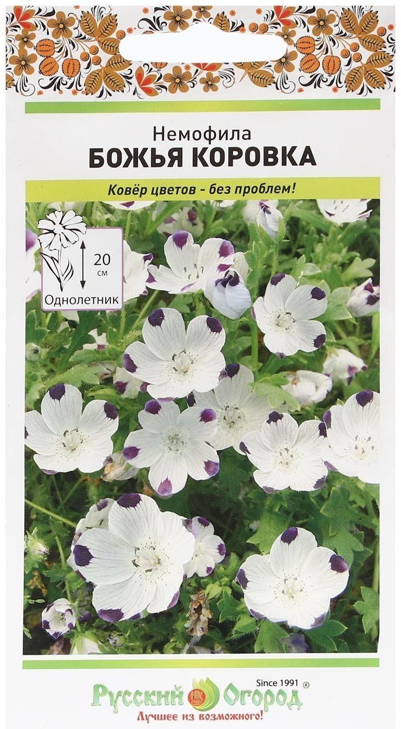 Семена цветов Немофила 