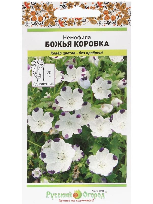 Семена цветов Немофила 