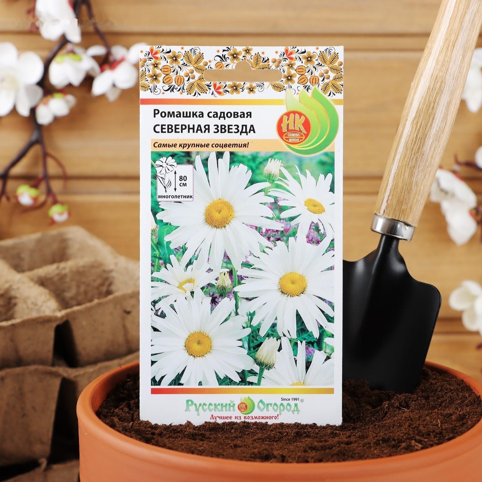 Семена цветов Ромашка 