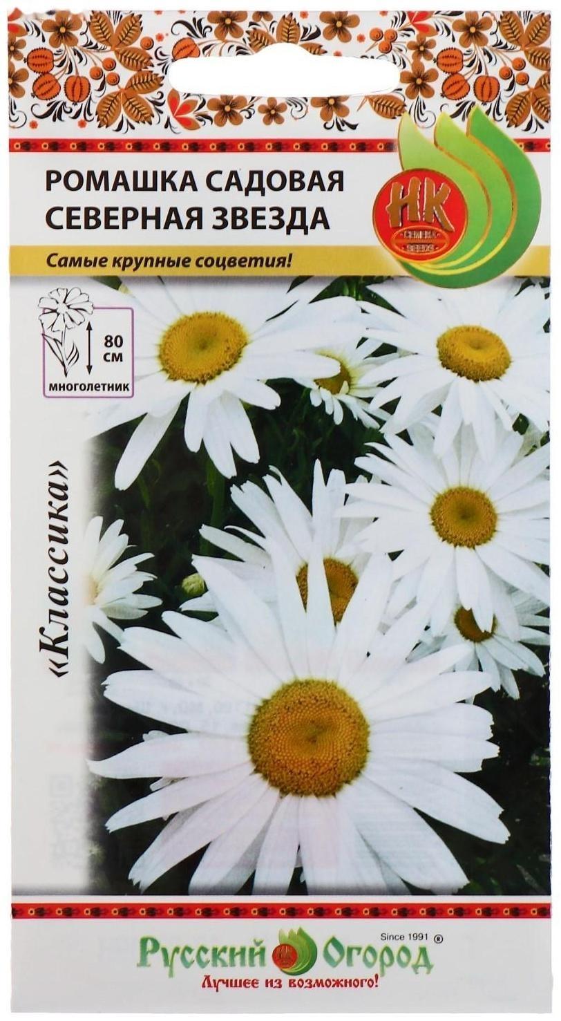 Семена цветов Ромашка 