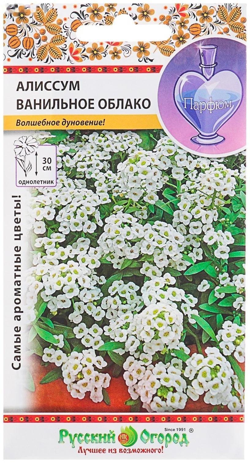 Семена цветов Алиссум 