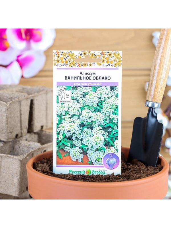 Семена цветов Алиссум 