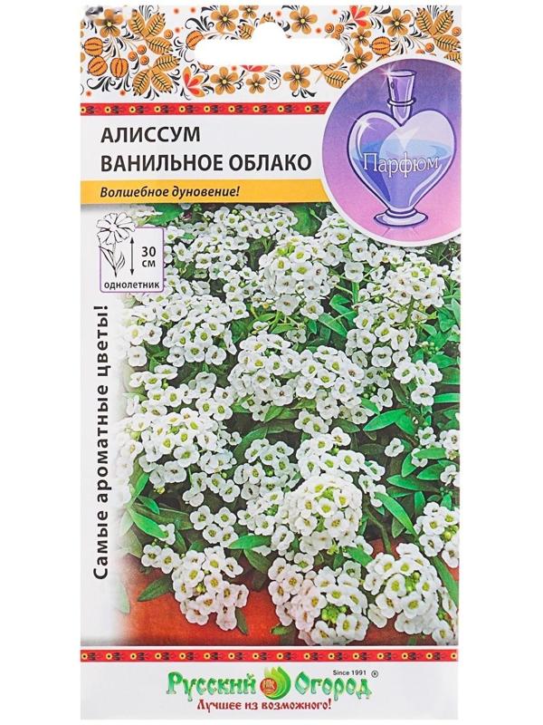 Семена цветов Алиссум 