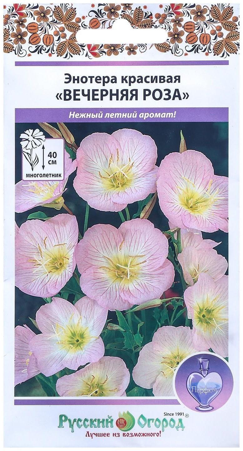 Семена цветов Энотера 