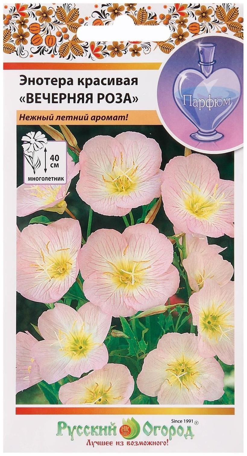 Семена цветов Энотера 