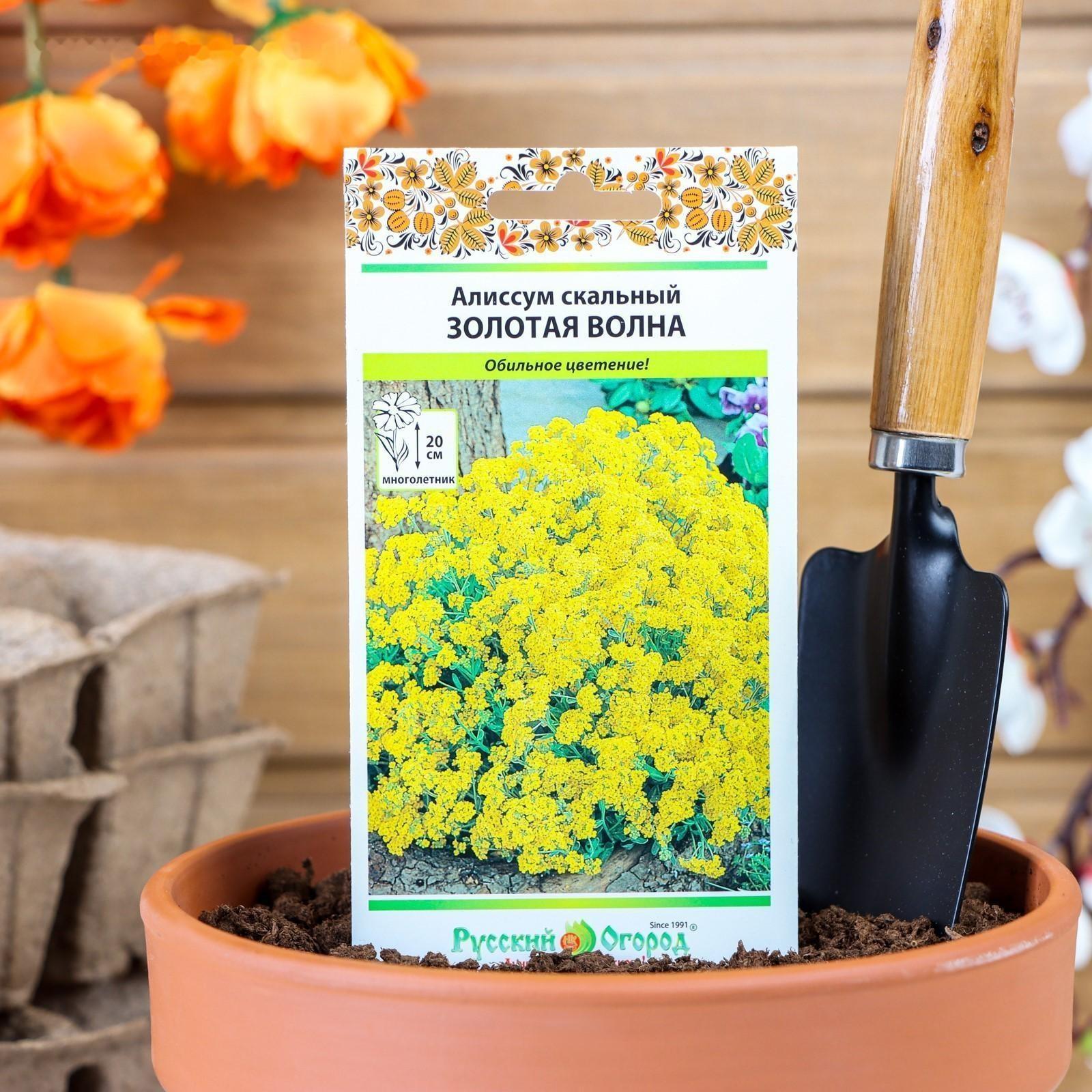 Семена цветов Алиссум 