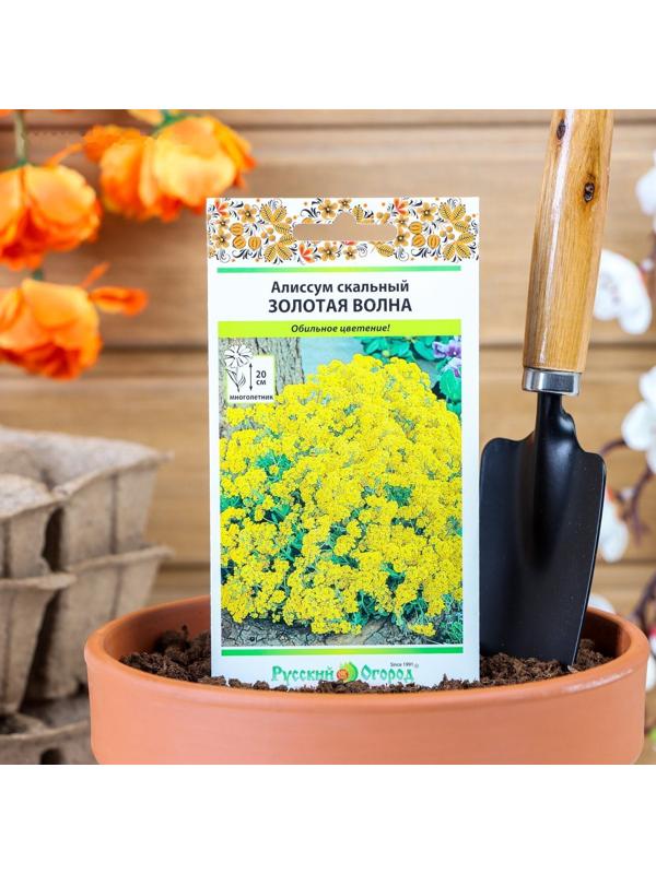 Семена цветов Алиссум 