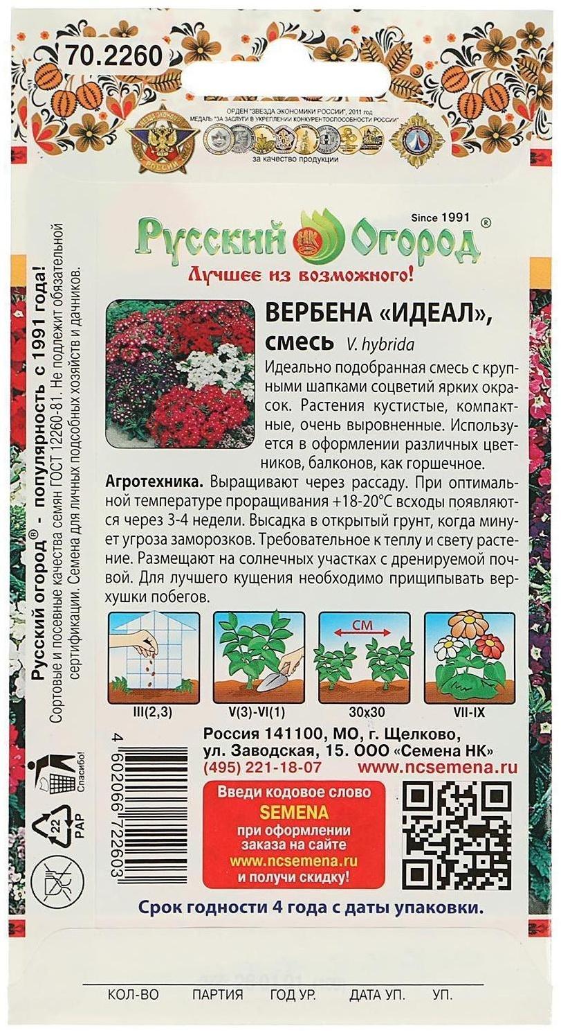 Семена цветов Вербена 