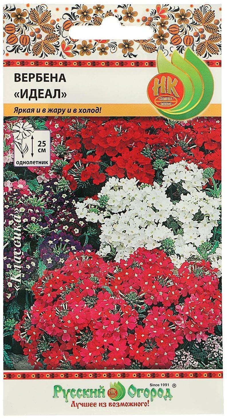 Семена цветов Вербена 