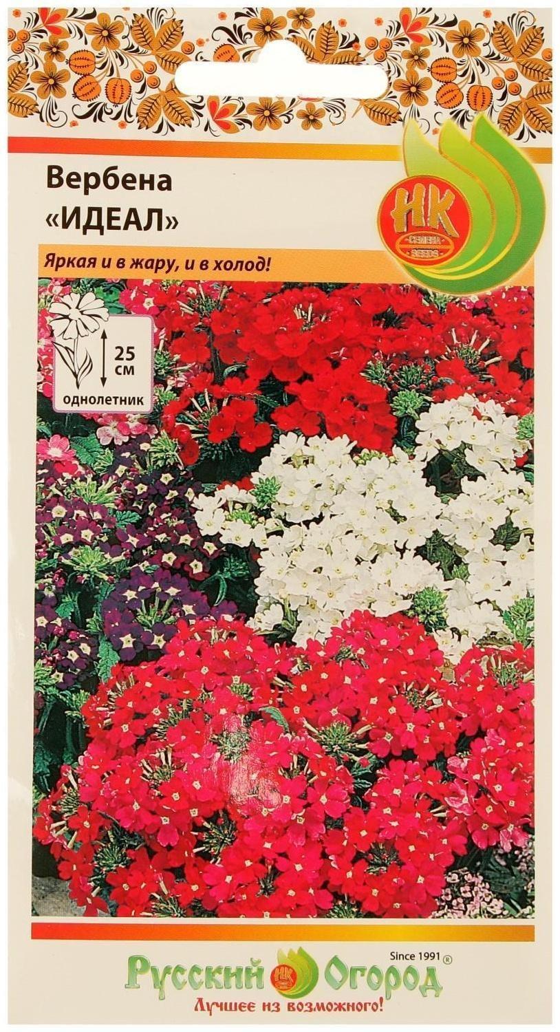 Семена цветов Вербена 