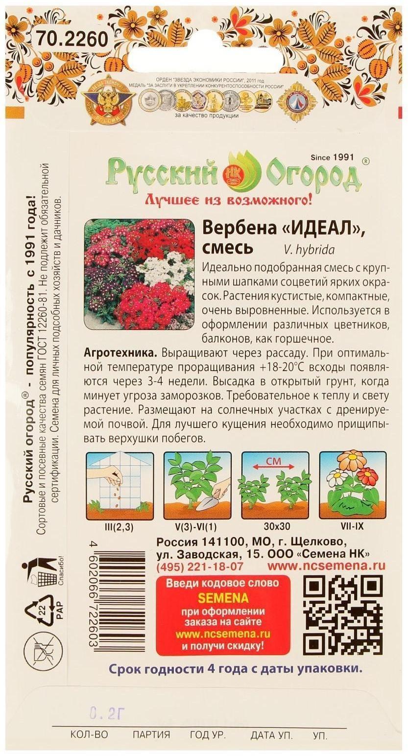 Семена цветов Вербена 