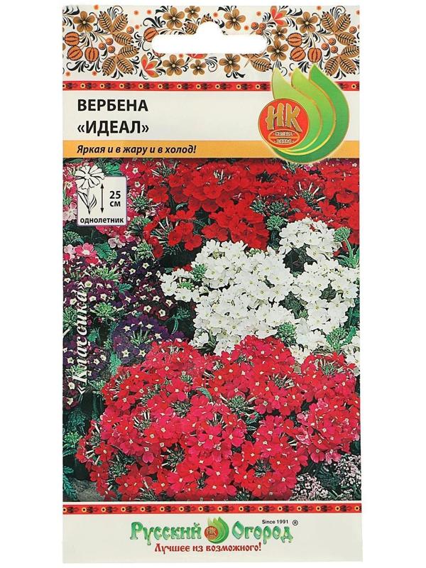 Семена цветов Вербена 