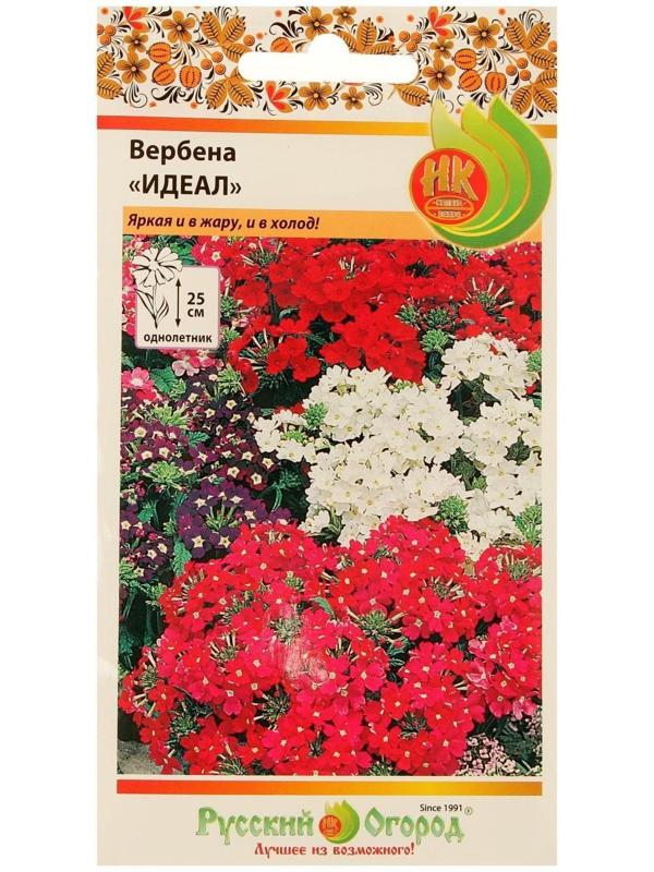 Семена цветов Вербена 