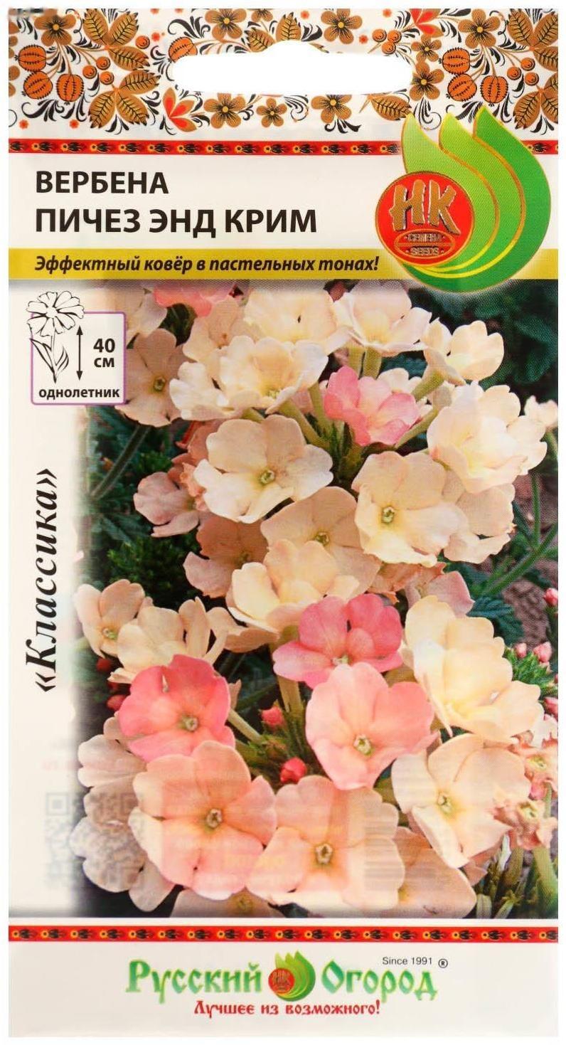 Семена цветов Вербена 