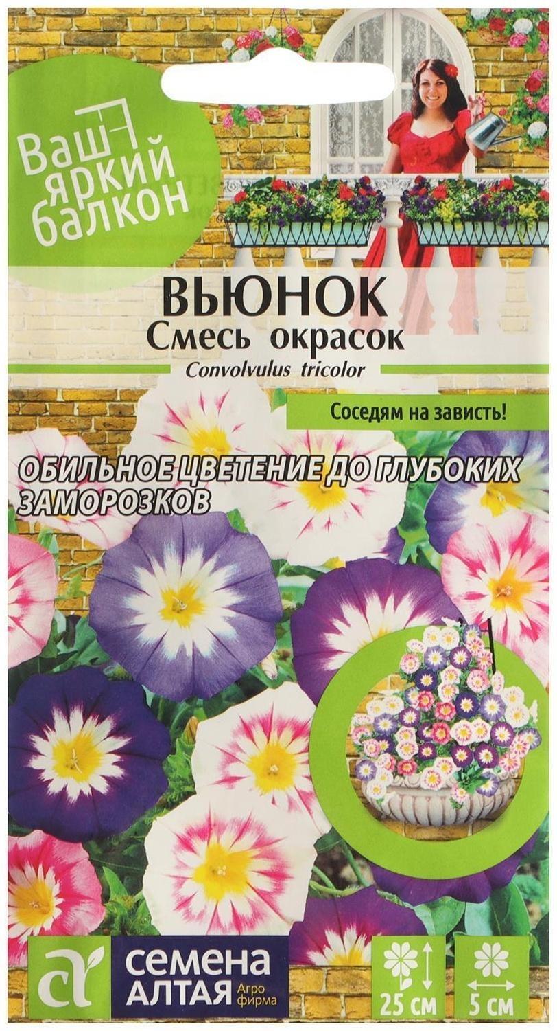 Семена цветов Вьюнок Смесь окрасок трехцветный, О, цп, 0,5 г