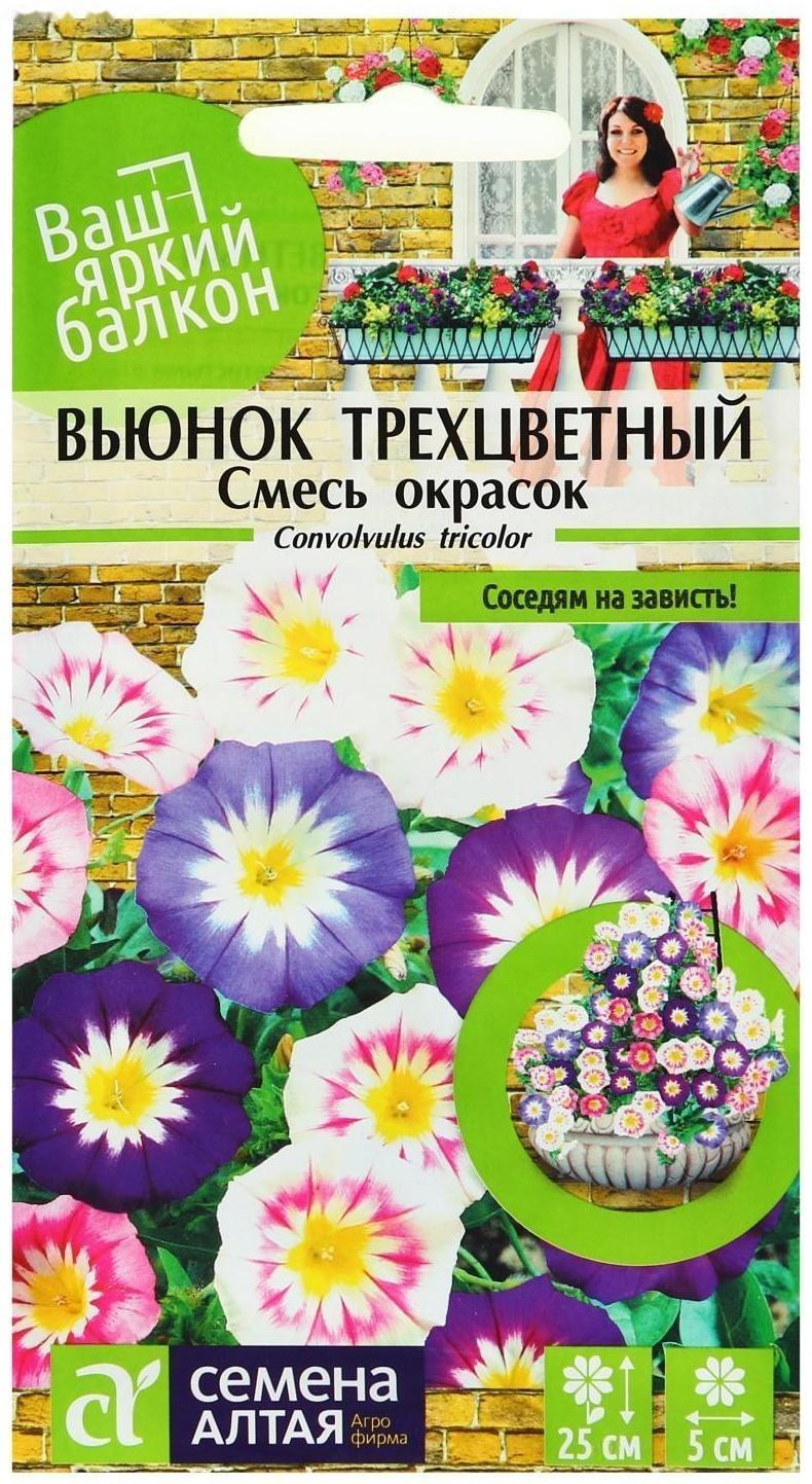 Семена цветов Вьюнок Смесь окрасок трехцветный, О, цп, 0,5 г