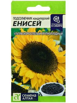 Семена Подсолнечник 