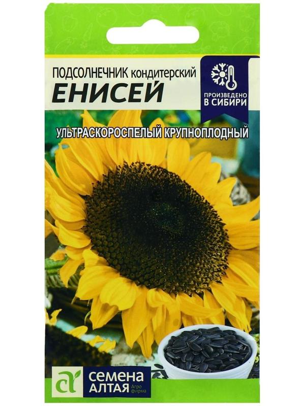 Семена Подсолнечник 