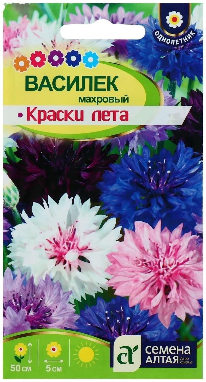 Семена цветов Василек 