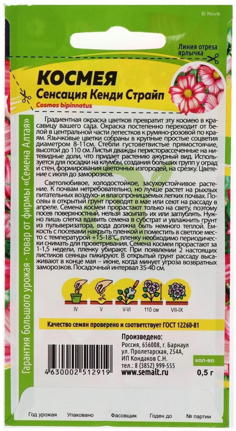 Семена цветов Космея 