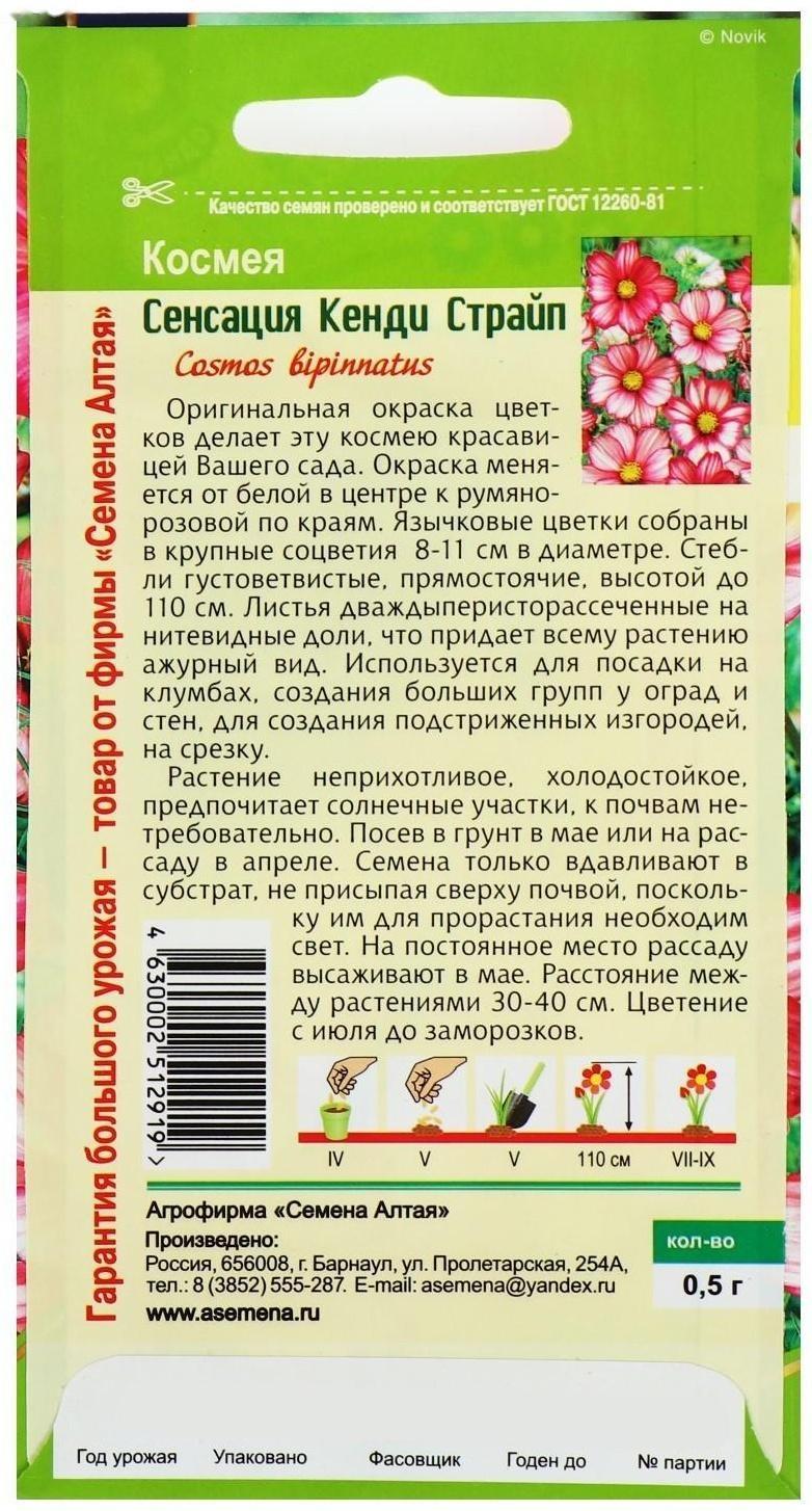 Семена цветов Космея 