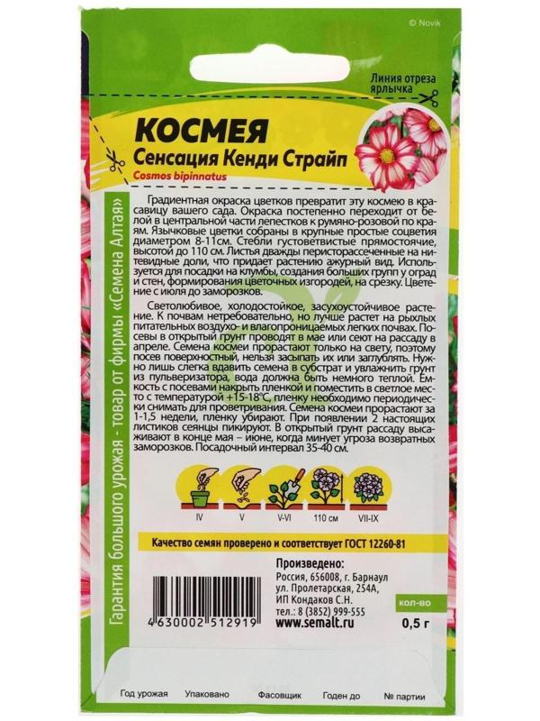 Семена цветов Космея 