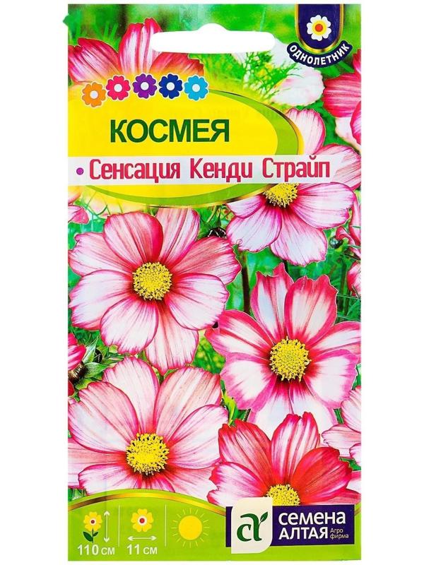 Семена цветов Космея 