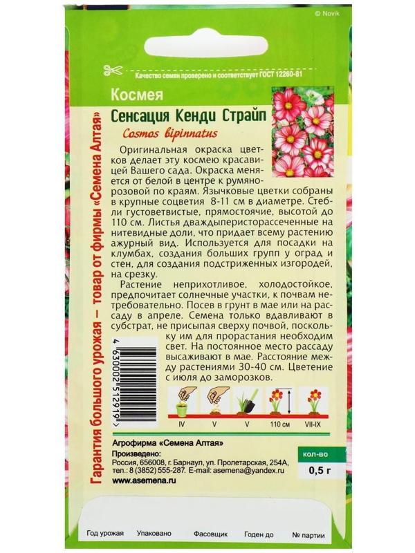 Семена цветов Космея 