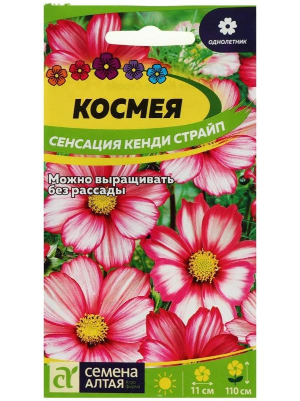 Семена цветов Космея 