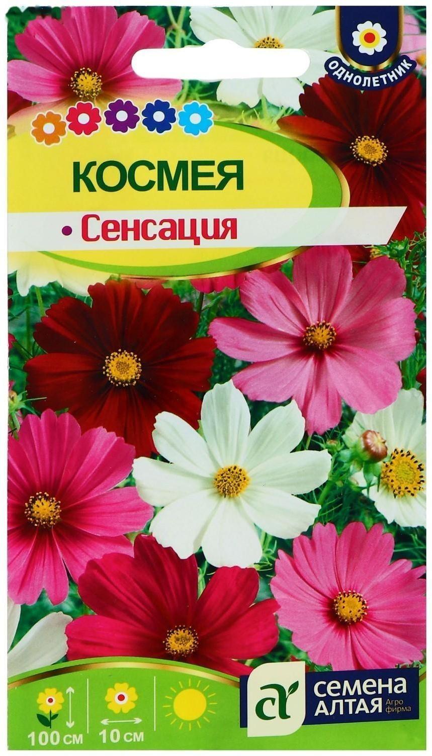 Семена цветов Космея 