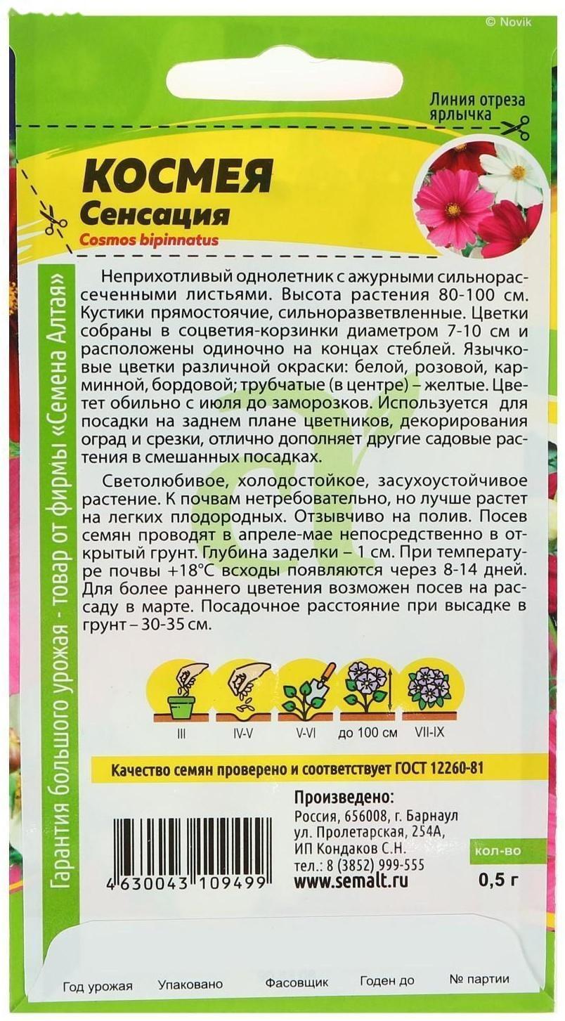 Семена цветов Космея 