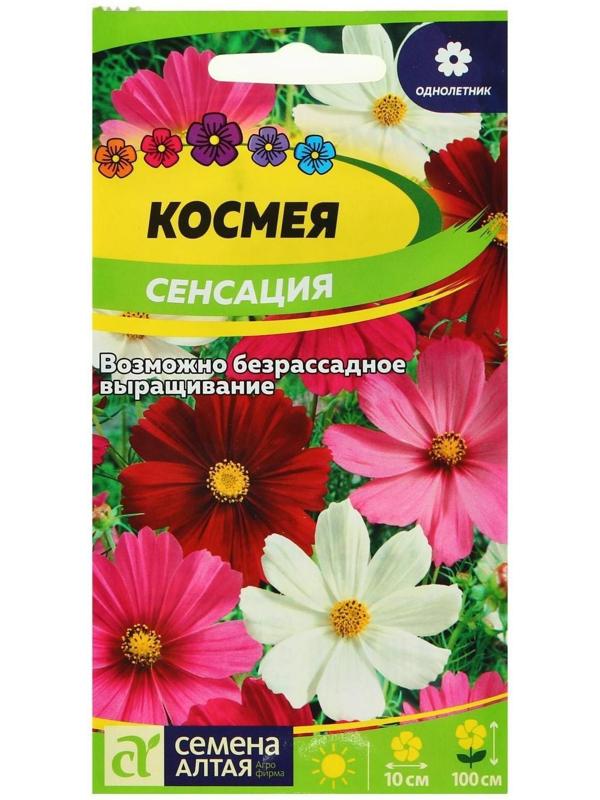 Семена цветов Космея 