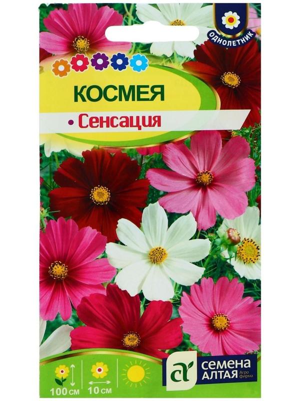 Семена цветов Космея 
