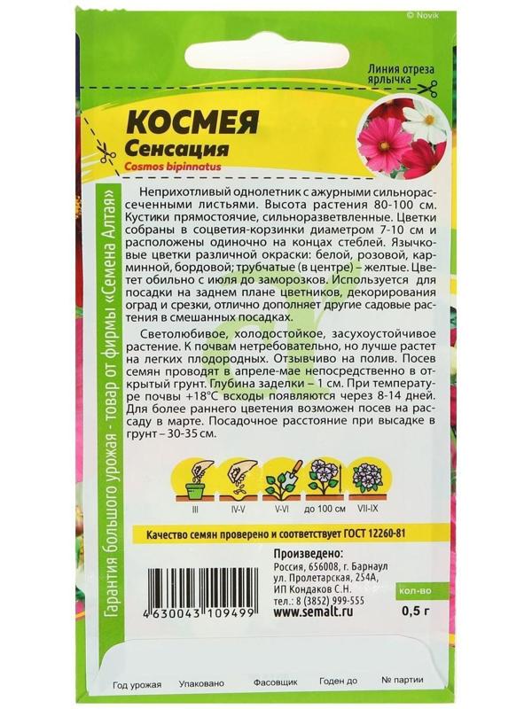 Семена цветов Космея 
