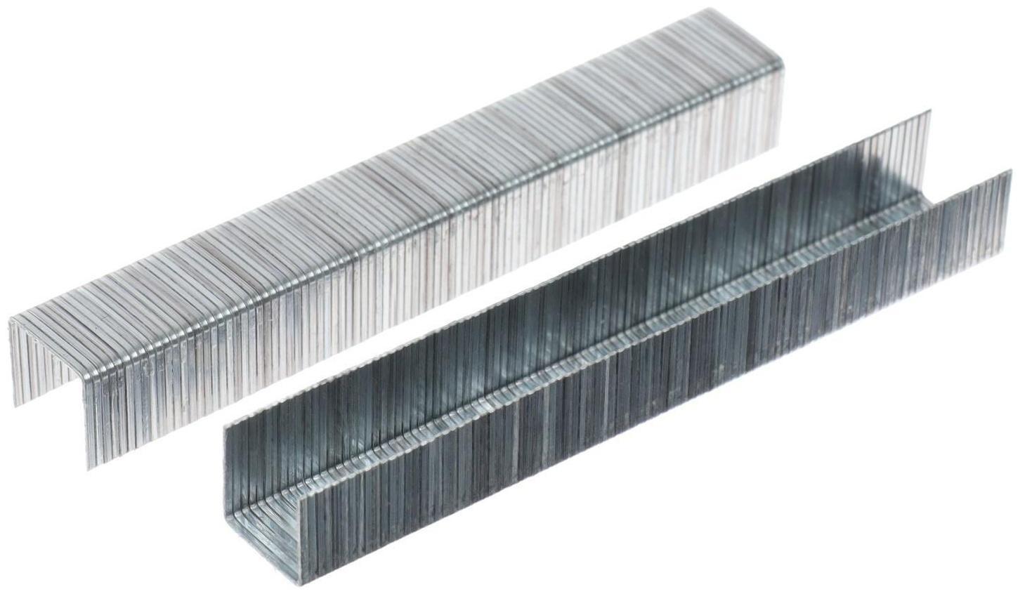 Скобы для степлера GLOBUS, 1000 шт., №53/10, высококачественная сталь, для мебели и творчества