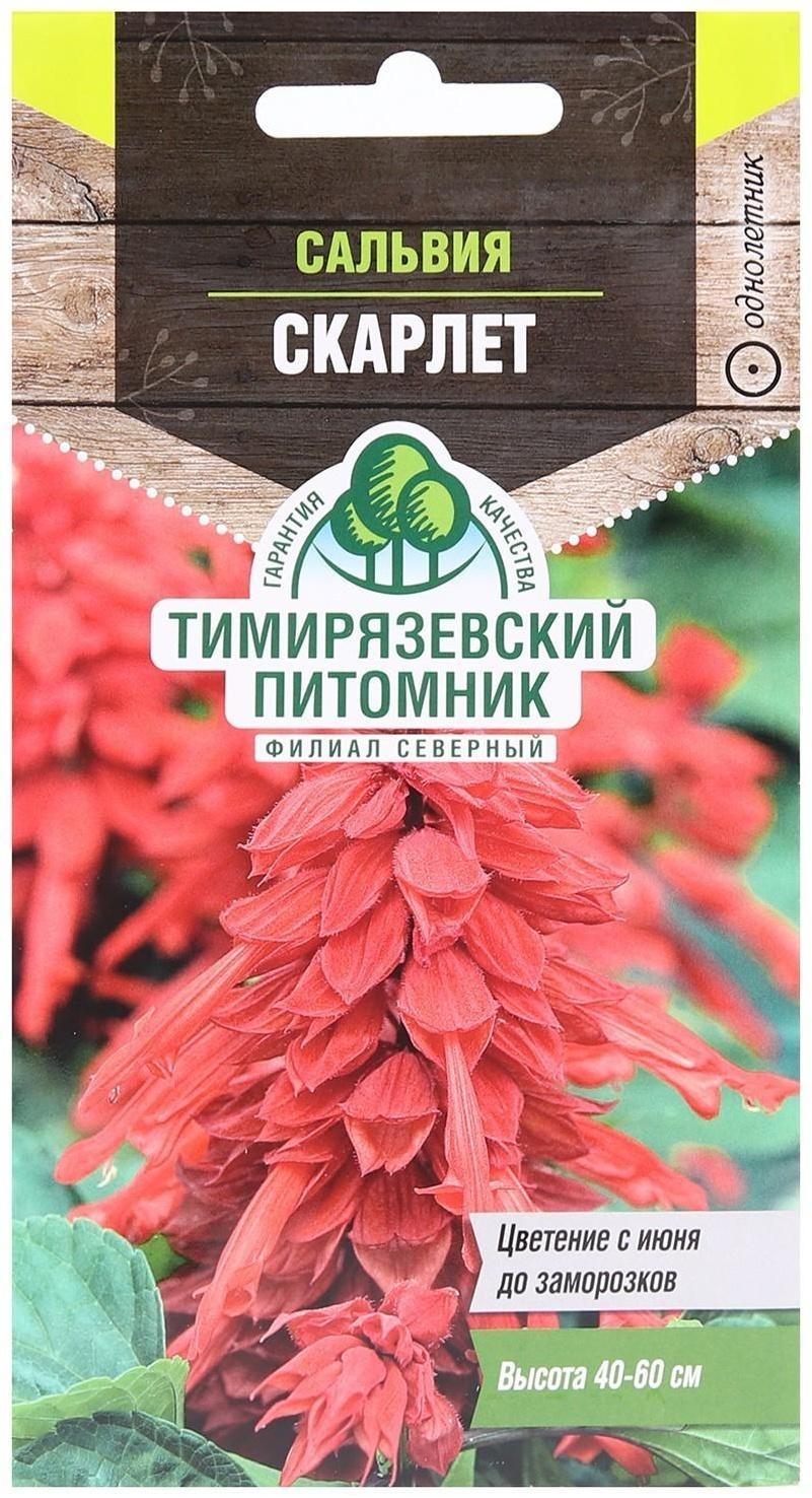 Семена цветов Сальвия 