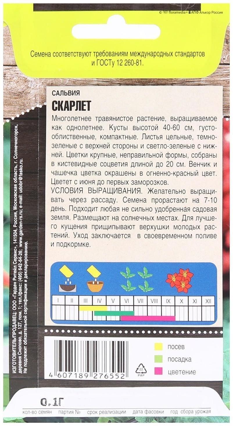 Семена цветов Сальвия 